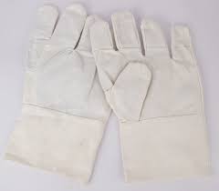 Canvas Glove